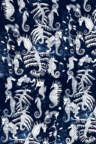 EHKW0311 Seahorses